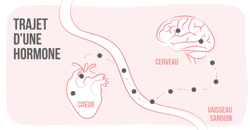 INFOGRAPHIE-PERTURBATEURS-cover