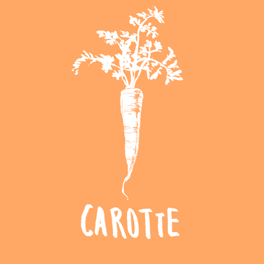 CAROTTE - MEME COSMETICS- aliment qui protege contre cancer