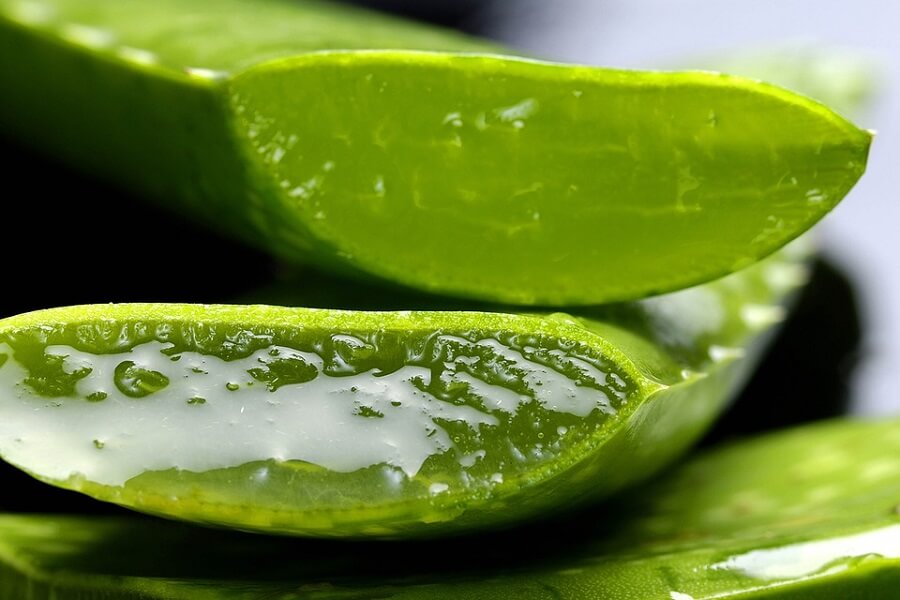 aloe vera soin de la peau traitements cancer - MÊMECOSMETICS