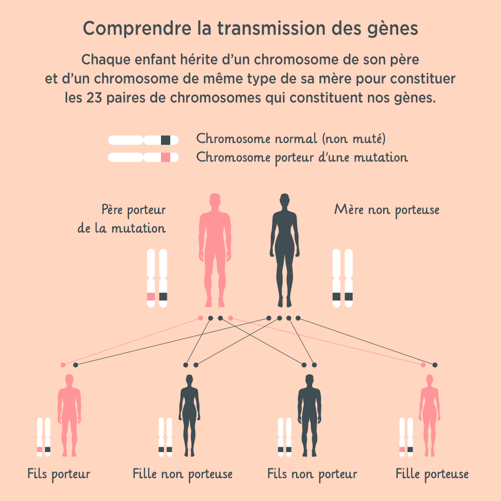 Risques de transmission d'un cancer