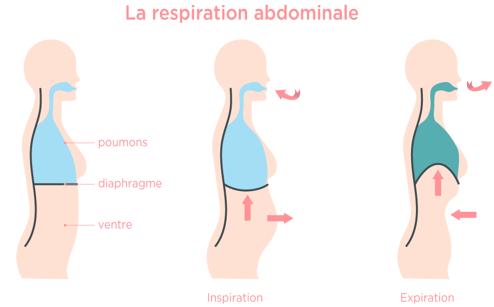 1908_SOPHROLOGIE_RESPIRATION VENTRALE_MEME COSMETICS