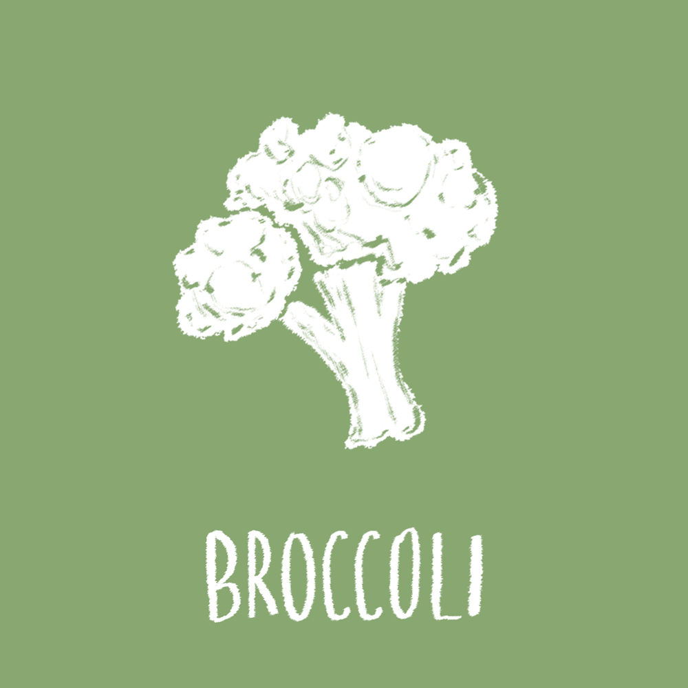 Top 9 anti-cancer foods list broccoli