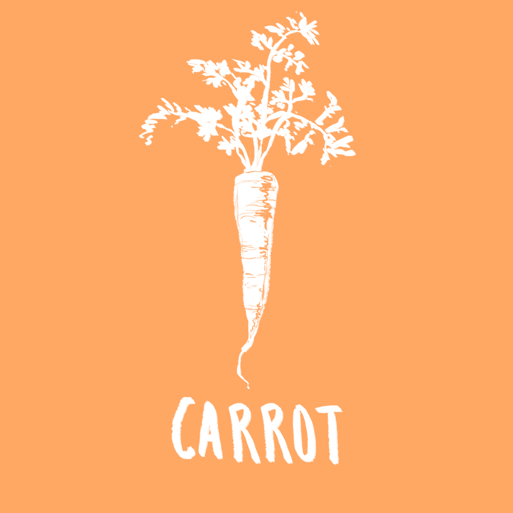Top 9 anti-cancer foods list carrot