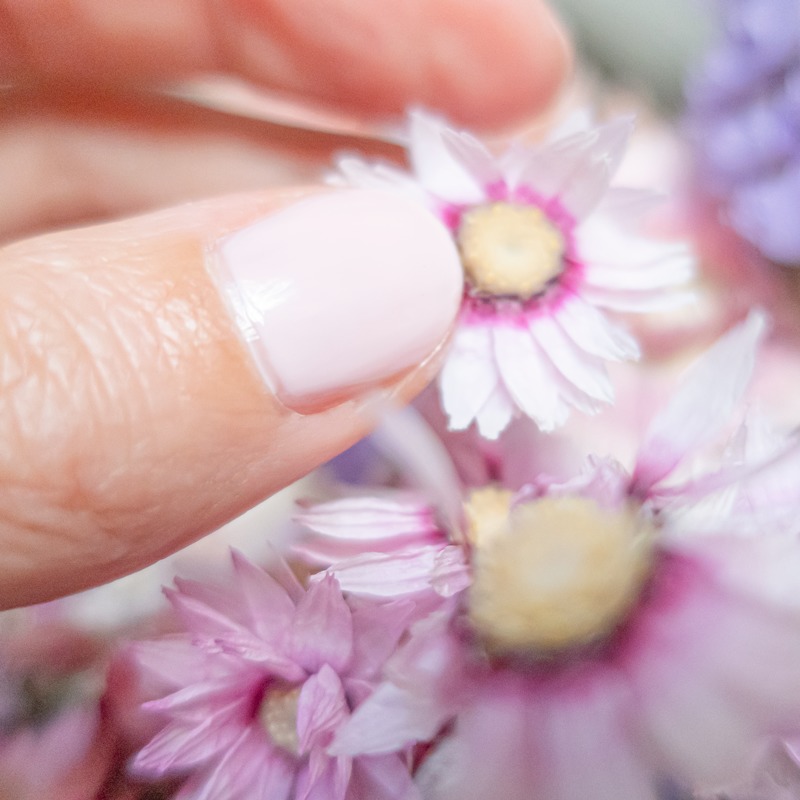 vernis biosourcé MÊME Cosmetics