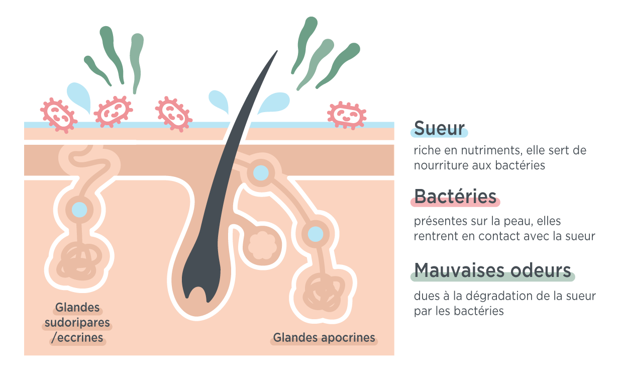 Pourquoi le son de la pluie nous apaise tant ? - Top Santé