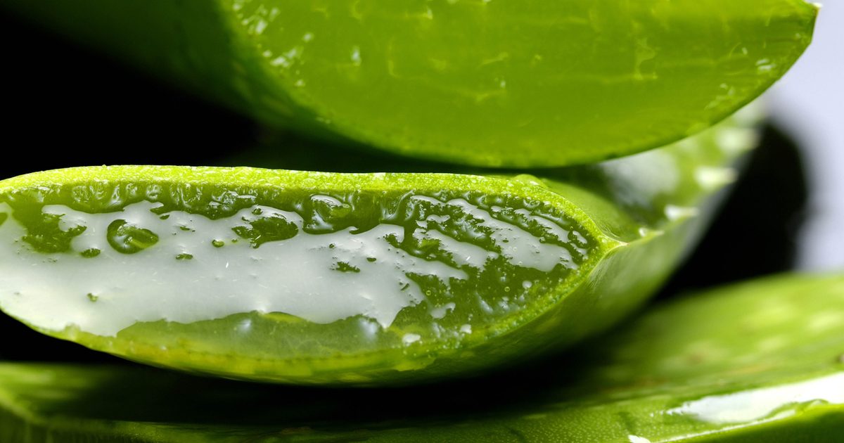 aloe-vera-peau-sensible-MEME-Cosmetics