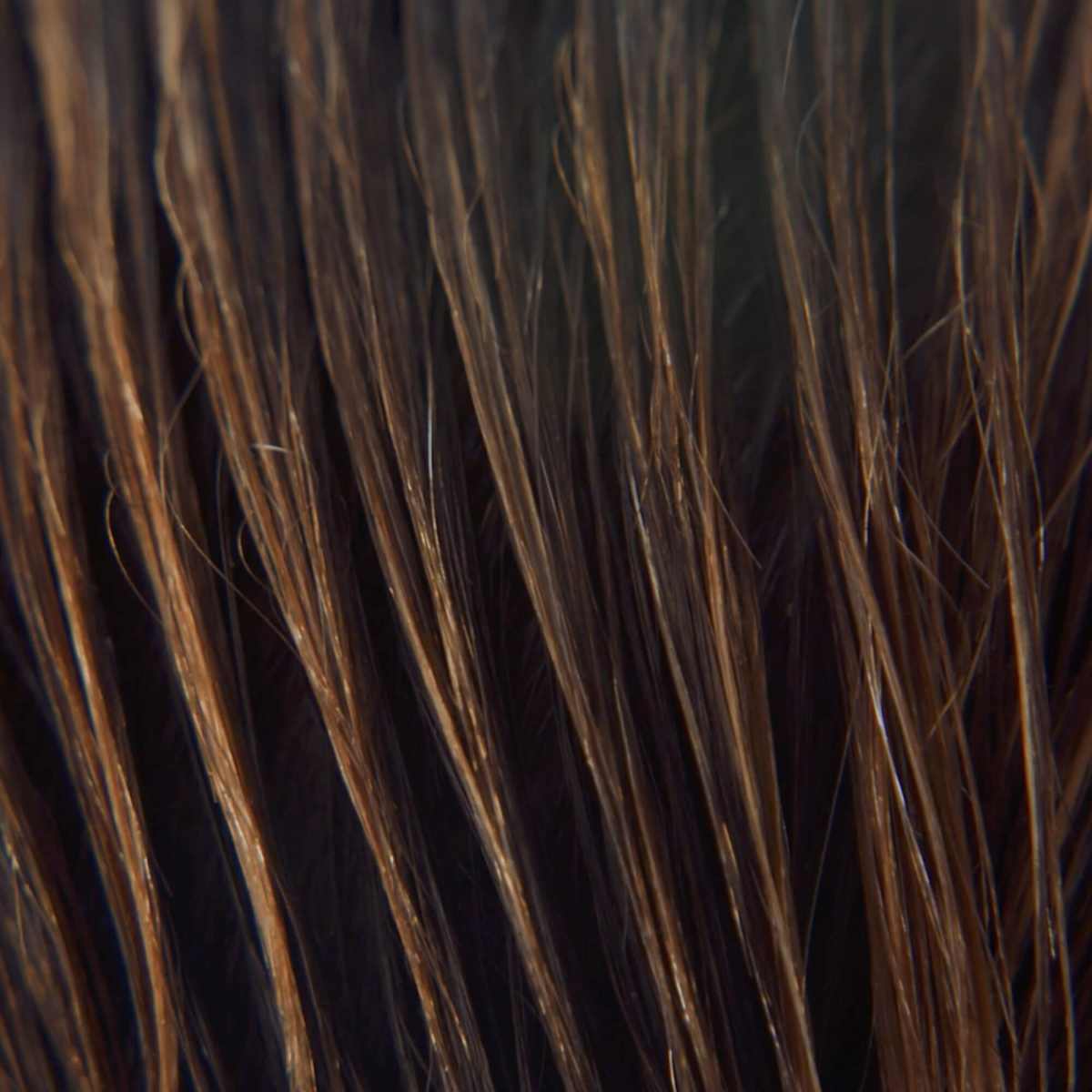 Fragile or damaged hair routine