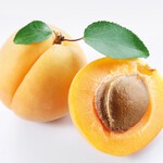 Apricot Kernel Oil