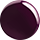 Aubergine